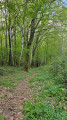 Sentier des Templiers depuis Boult-aux-Bois
