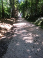 Sentier Forêt de Fabas