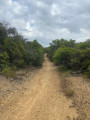 Sentier garrigue