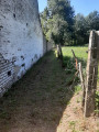 Sentier herbeux