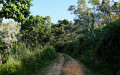 A wide, well-maintained path