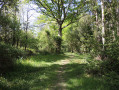 Barthes de l'Adour à Saint-Martin