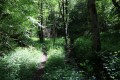Sentier le long du ruisseau des Grenats