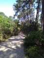 Petit Nice, Dune du Pilat