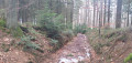 Sentier légèrement encaissé Sentier légèrement encaissé