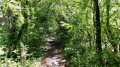 Sentier longeant l'Ancien canal