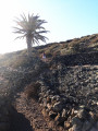 Sentier montant tranquillement vers le volcan Sentier montant tranquillement vers le volcan