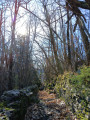 sentier  montant vers le village de Combes