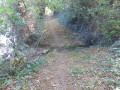 Sentier ombragé