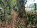 Sentier ombrag&eacute;