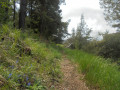 Sentier Ouest Collet d'Uesti. Sentier Ouest Collet d'Uesti.