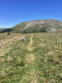 Sentier parallèle à la piste