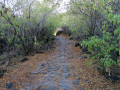 Sentier Pavé