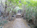 Sentier Pavé