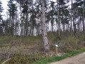 Sentier pédagogique des arbres de la forêt