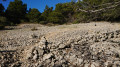 sentier pierreux sentier pierreux