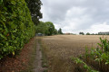 Sentier piéton qui longe l'arrière des jardins des maisons