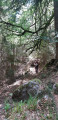 Sentier plus sauvage Sentier plus sauvage
