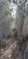 Sentier pour rejoindre le canal