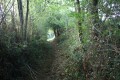 Sentier près de la rue des Rainettes (Bas Parchimbault)