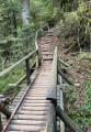 Sentier près du saut de la bourrique