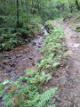 sentier qui longe la rivière