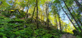 sentier retour vers le col du Rothenbach
