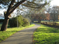 Sentier retour