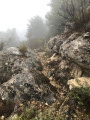 Sentier retour
