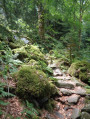 Sentier rocheux