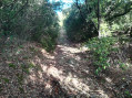 Boucle d'Aigues-Vives par le Chemin de la Bouissonade (Route Romaine)