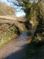 Sentier-ruisseau