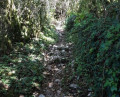 Sentier rustique