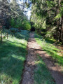 Sentier sous bois