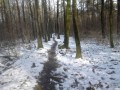 Sentier sous la neige Sentier sous la neige