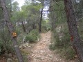 Sentier sous les bois Sentier sous les bois