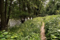 Boucle de l'Ourthe et Roche aux Faucons à Esneux