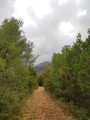 sentier sur la première partie du parcours, c'est à dire d'Est en Ouest