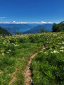 Sentier sur la Roche de Chanduraz