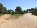 Sentier sur le plateau