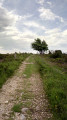 Sentier sur le plateau