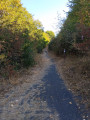 Path on the slag heap