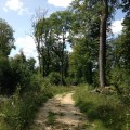 Sentier sur les hauteurs du Doubs