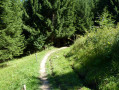 Sentier terreux