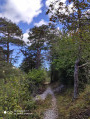 Sentier tracastel