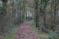 Sentier vers la Croix Guénard