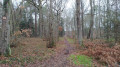 Sentier vers la voie centrale