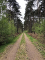 Sentier vers le Carrefour des Sept Chemins