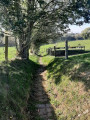 Sentier vers le Ruisseau du Marais