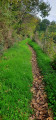 Sentier vers les menhirs